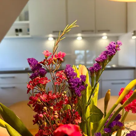 Apartamento Altes Friesenhaus Unterm Reet Morsum (Sylt)
